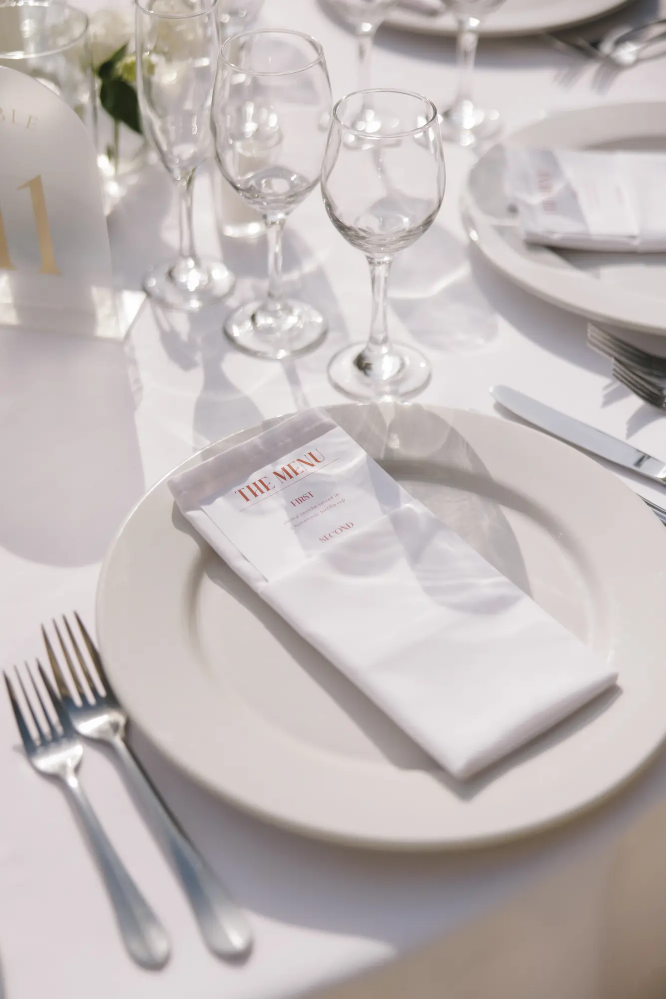 Katy & Declan Wedding Photographer in Puerto Vallarta — Photo 33 by Evgenia Kostiaeva